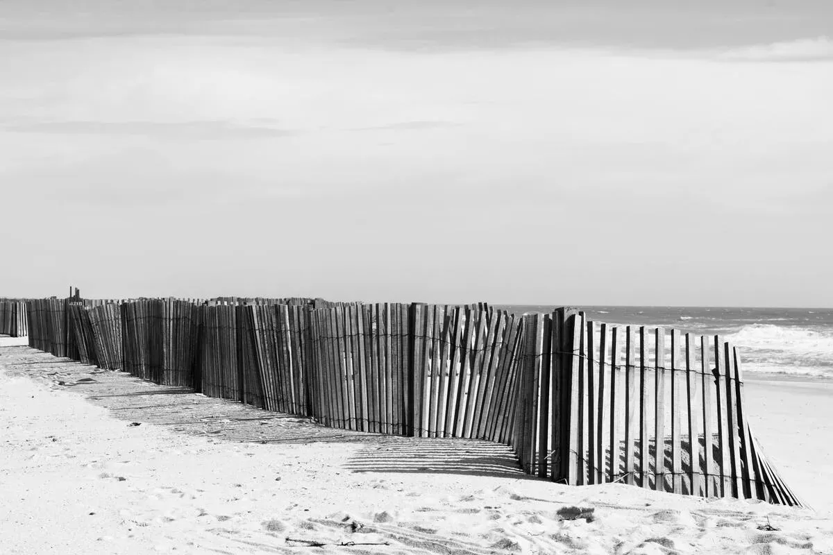 Ganivelle, cloture en bois sur dune